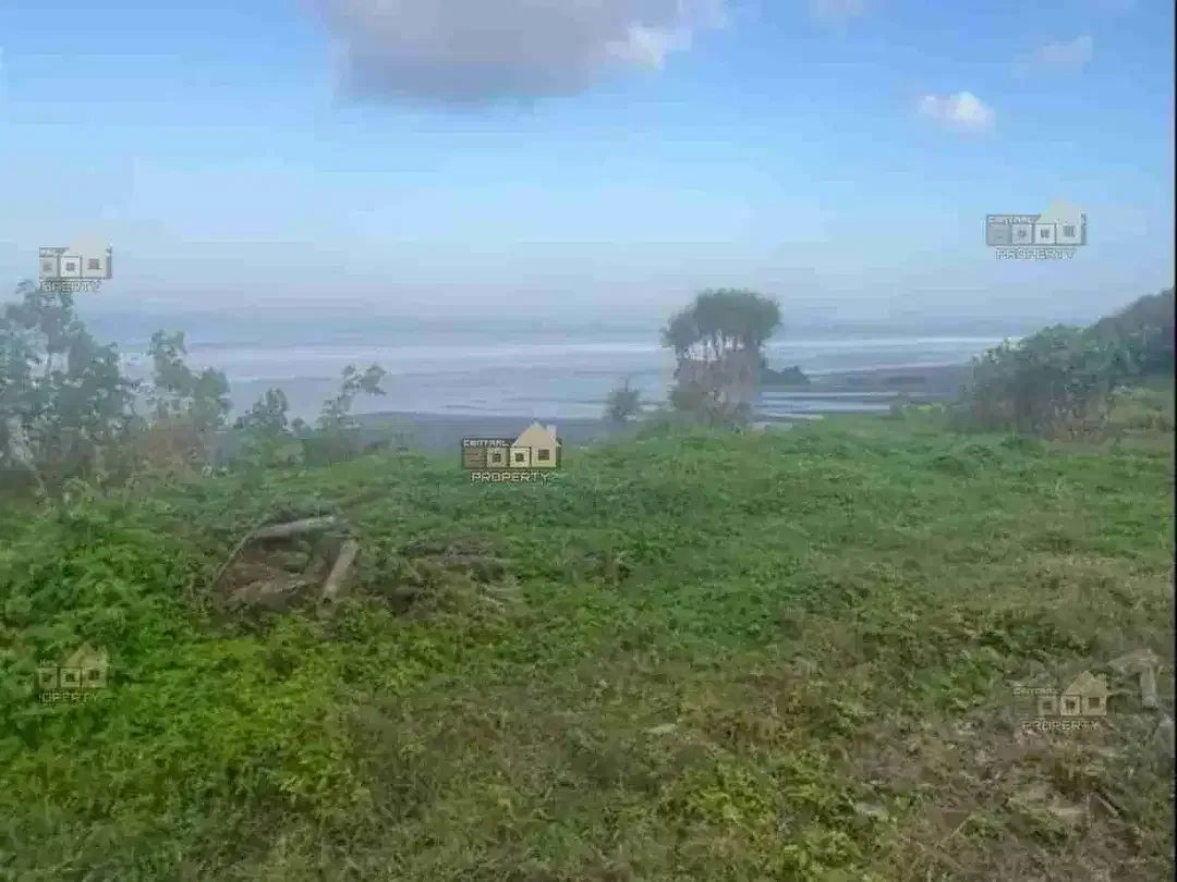 Dijual Tanah Los Pantai Pasut - Tabanan, Bali - Image 5 of 9