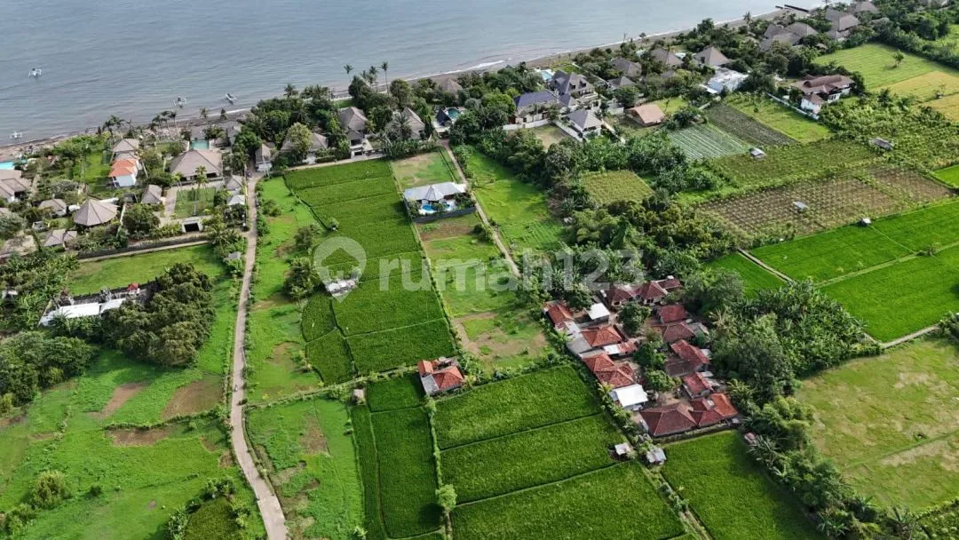 Di Jual 10 Are Lahan dengan View Pengunungan dan Dekat ke Pantai - Image 3 of 4