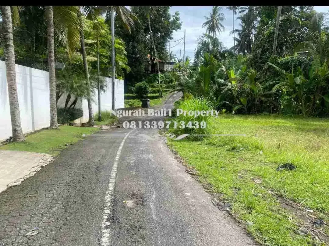 Dijual Tanah Murah Luas 10 Are di Br Tunon Ubud - Image 3 of 4