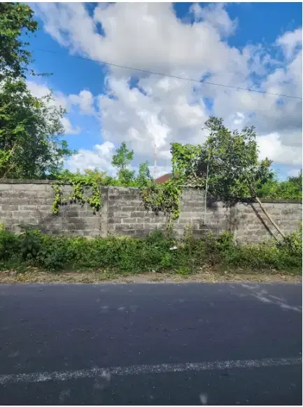 Tanah Jalan Utama Goa Gong,Ungasan - Image 4 of 10