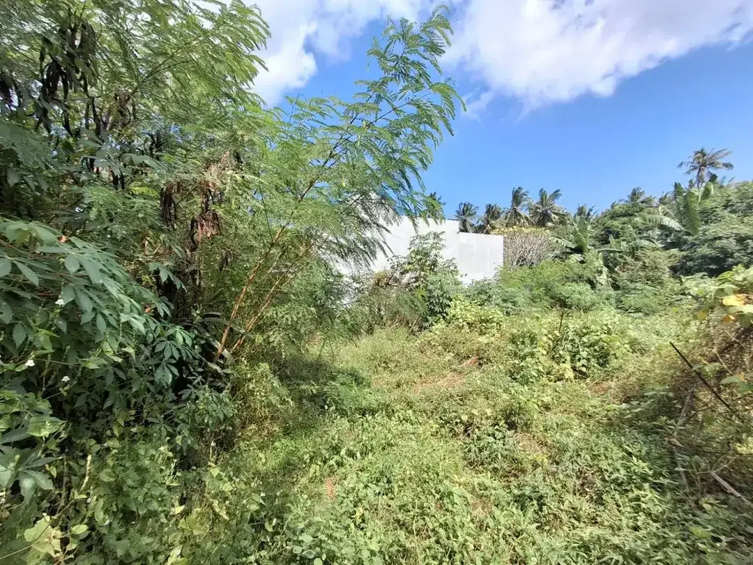 Dijual Tanah Global - Taman Nuansa Tjampuhan, Pering, Gianyar - Image 3 of 5