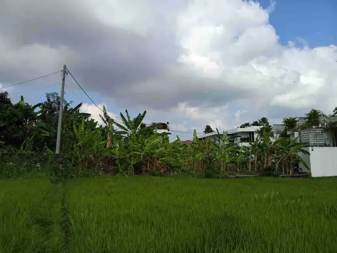 DIJUAL CEPAT TANAH 310m² Jl.TUMBAK BAYU PERERENAN BADUNG BALI. - Image 4 of 10