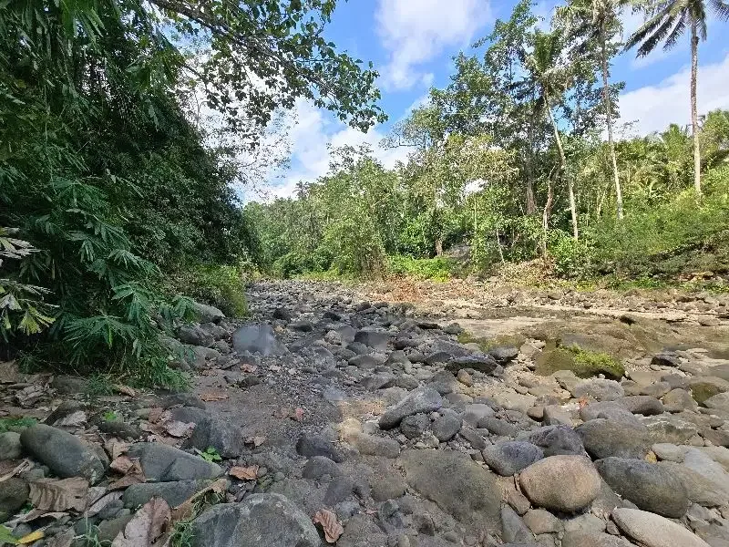 DIJUAL TANAH LOS SUNGAI di tabanan bali BEBATUAN - Image 3 of 10