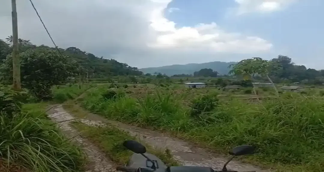 Land 36a for Sale close to Sidemen Traditional Village Bali - Image 2 of 10
