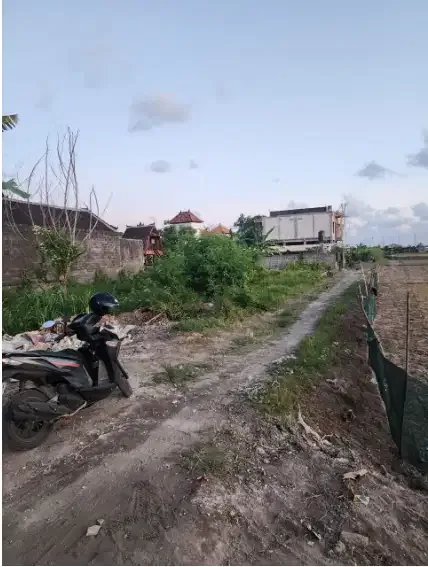 Tanah Hadap Barat di Sanur Kauh Denpasar - Image 5 of 10