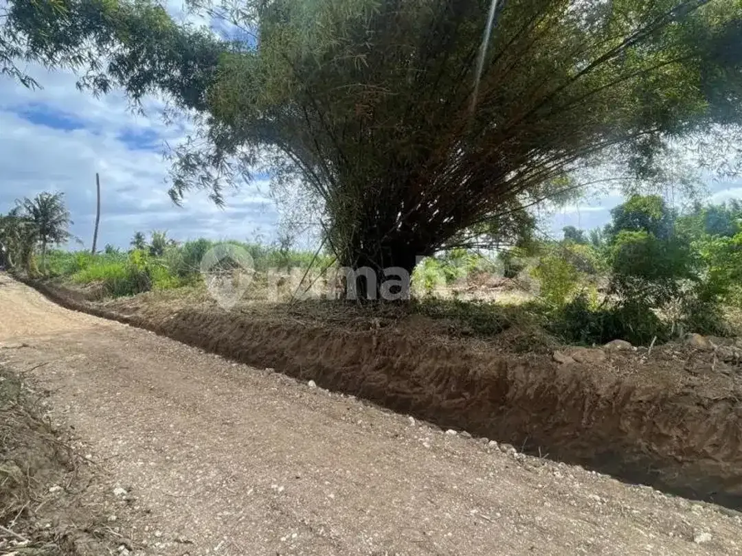 Tanah Global 3.720M² Depan Rs Kasih Ibu Saba Gianyar, Cocok Bangun Villa - Image 4 of 7