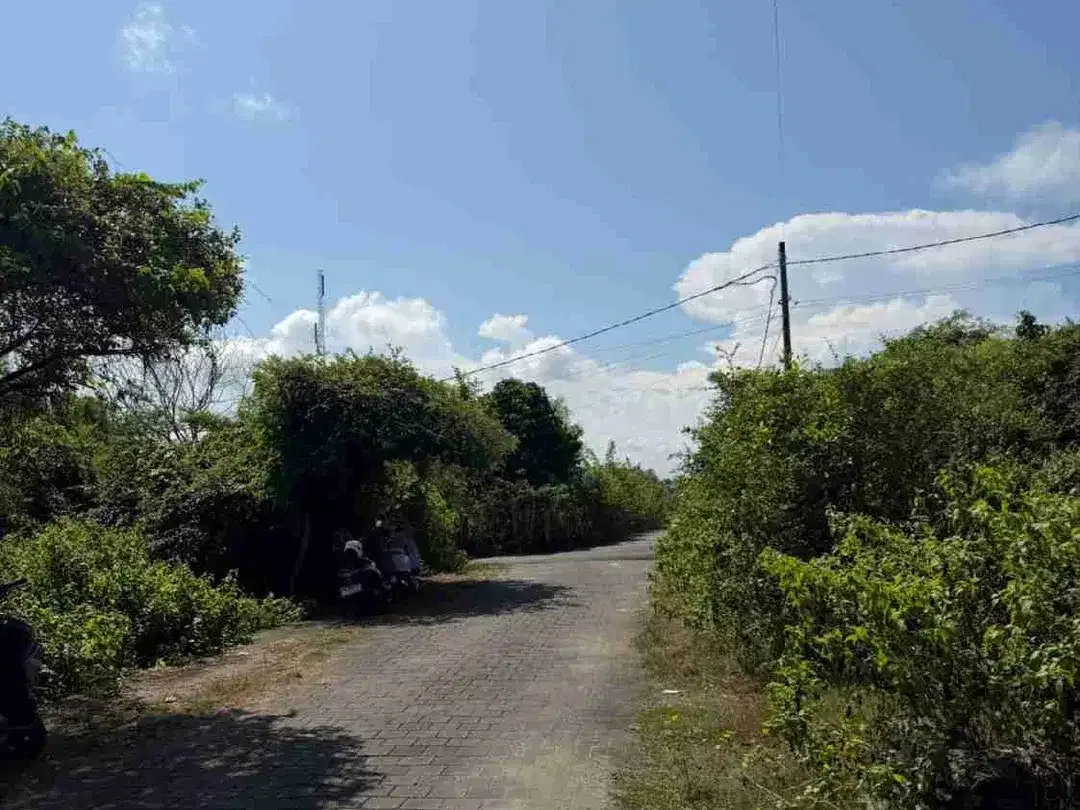 Jual Tanah Luas 136m² Jl Gayang Sari Kutuh Kuta Selatan Zona Kuning & SHM.ta - Image 2 of 6
