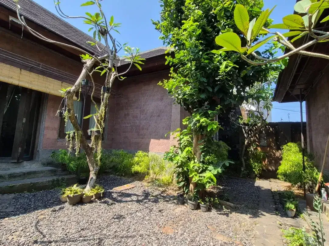 Freehold  - Balinese home with expansive 1,000 m² land in batu bulan with rice fields view, Bali - Image 5 of 10