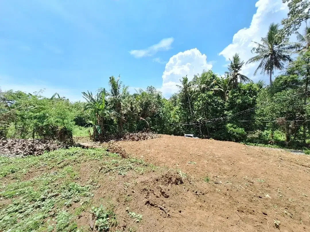 Tanah Disewakan atau Dijual  Dekat Pantai di Permata Pering - Saba - Image 5 of 10