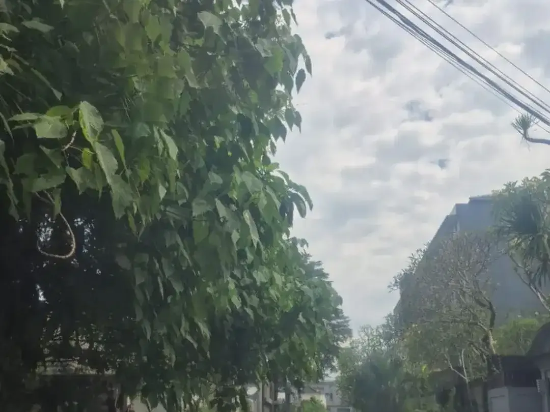 Dijual Tanah 10 are di Jalan Dewi Saraswati - Image 1 of 2