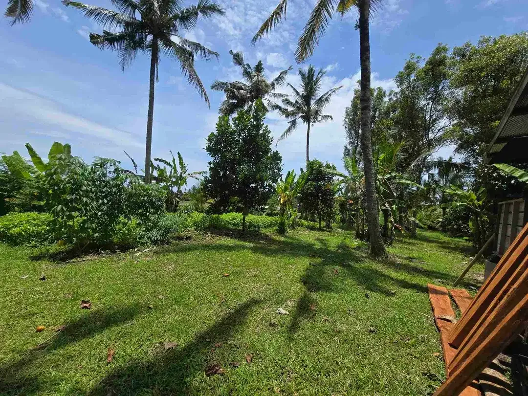 Dijual tanah view sawah zona kuning di kerambitan tabanan bali - Image 9 of 10