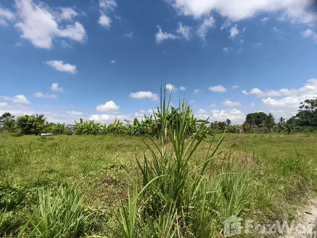 Land for sale in Tegallalang, Bali - Image 2 of 9