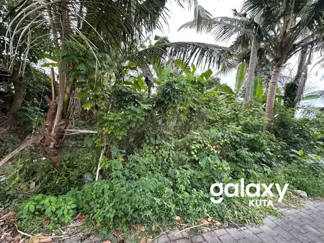 DIJUAL TANAH VIEW SAWAH DEKAT RS KASIH IBU DI TOJAN BLAHBATUH - Image 3 of 10