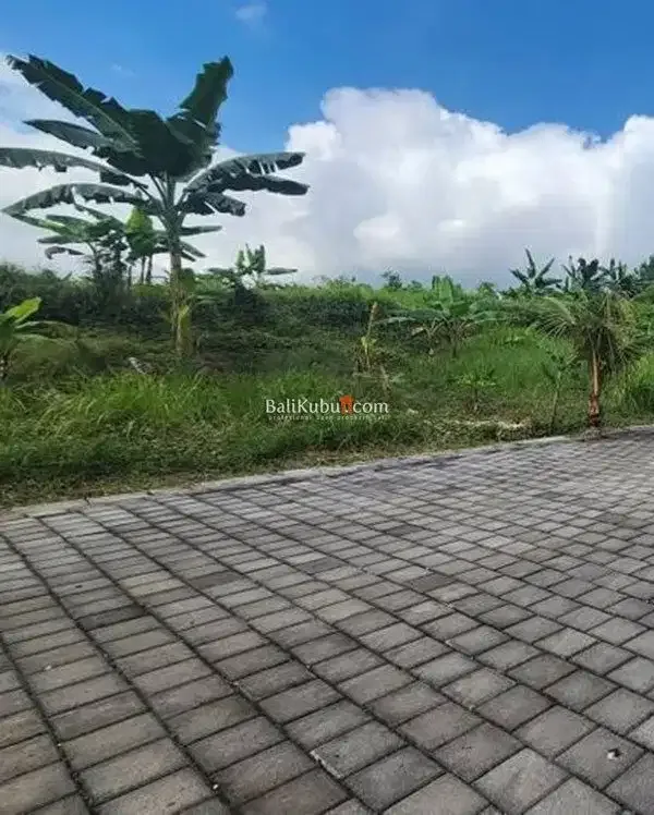 [AMS-066.DRM] Tanah Kavling Perumahan Super Premium di Kutuh Kerambitan Tabanan - Image 9 of 10