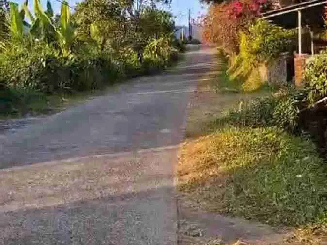 Full View Danau Buyan 5.200m² Bonus Rumah Style Villa - Image 10 of 10