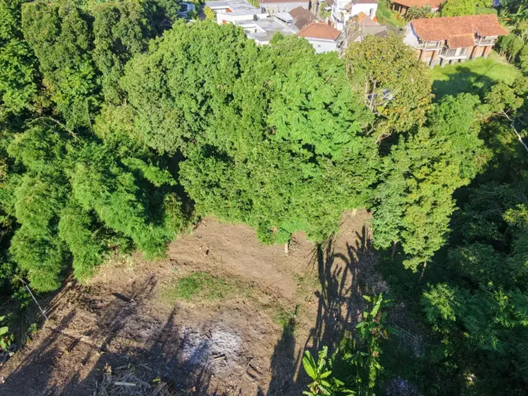 Leasehold - Riverside Land with Mature Trees & Ready Infrastructure in Canggu, Bali - Image 1 of 10