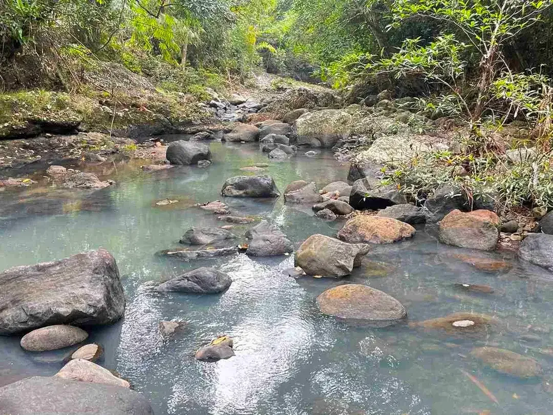 jual tanah Los sungai besar berbatu di desa wisata manikyang tabanan bali. - Image 5 of 10
