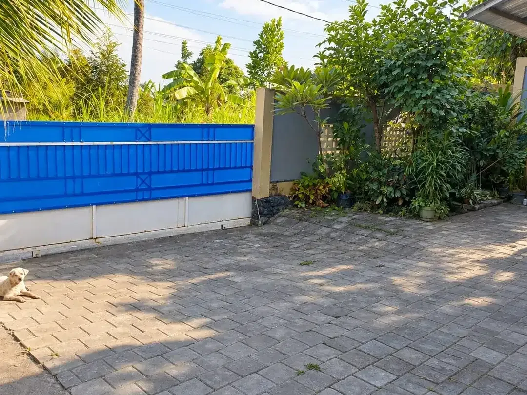 DIJUAL RUMAH PRIBADI  DESA PANJI BANGAH, SINGARAJA - Image 3 of 10
