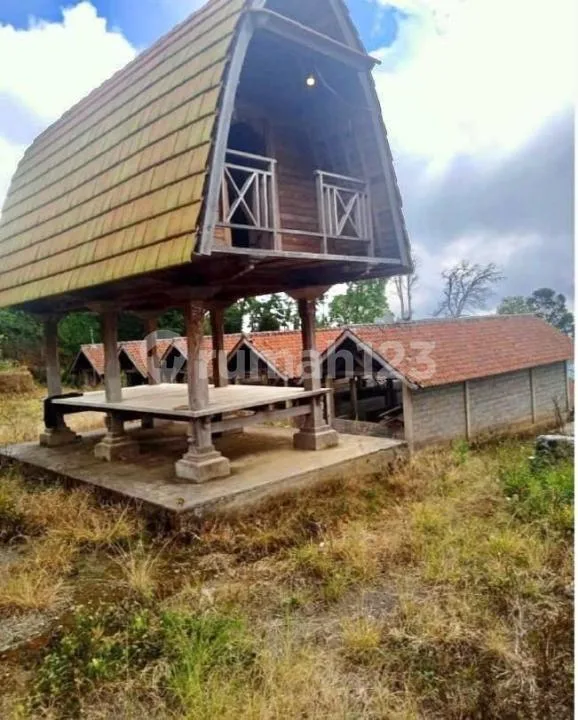 Tanah Komersial 6,5 Ha SHM Dekat Turyapada Tower Bali Utara - Image 1 of 4