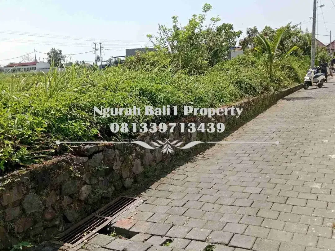 Dijual Tanah Murah Luas 3 Are View Sawah Kawasan Villa di Mas Ubud - Image 1 of 6