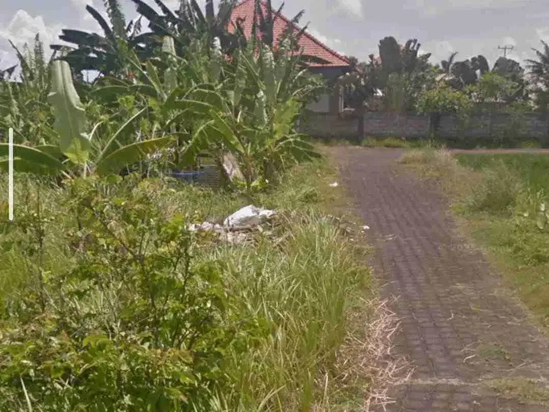 DIJUAL TANAH MURAH CEMAGI - Image 5 of 5