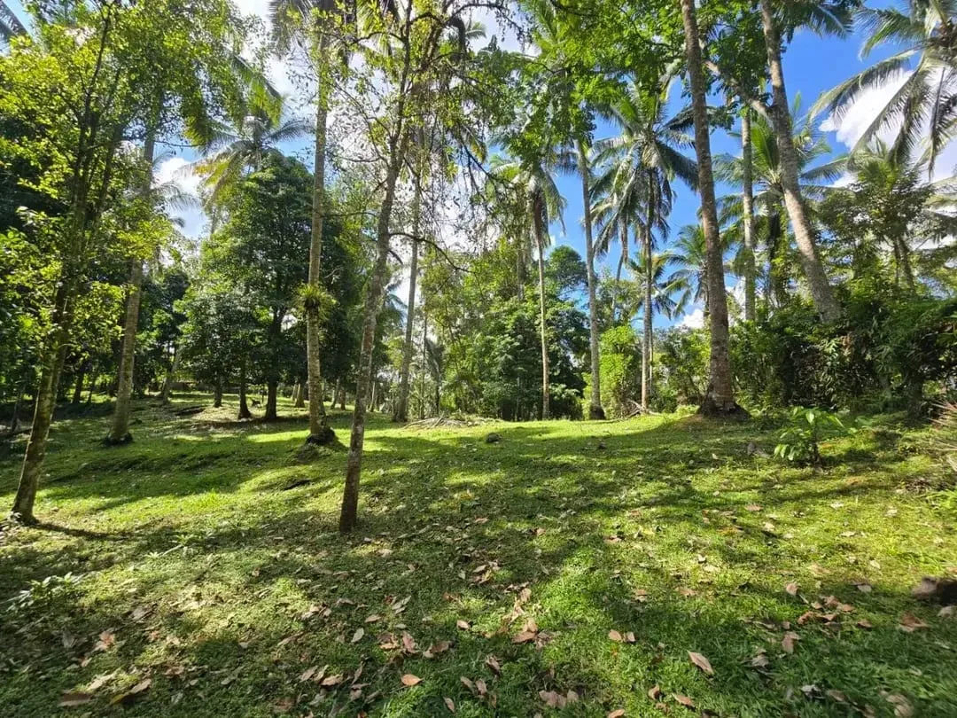 DIJUAL TANAH MURAH DI TABANAN - Image 10 of 10