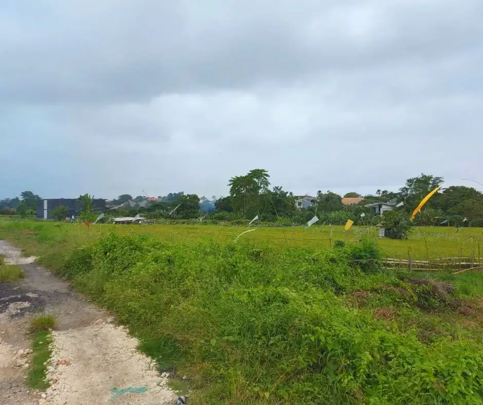 FOR SALE LAND WITH RICE FIELD VIEW AT BERAWA CANGGU - Image 1 of 10