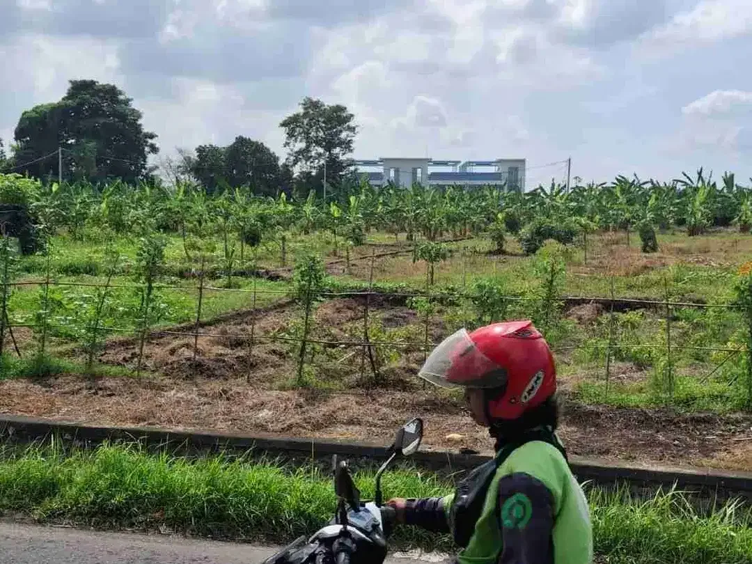 tanah kontrak jalan utama pantai nyanyi tabanan - Image 1 of 8