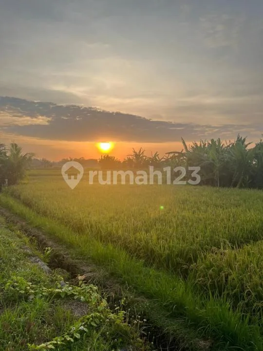 Tanah di Area Wisata Berkembang Berlokasi di Tibubiu, Pasut - Tabanan - Image 4 of 4