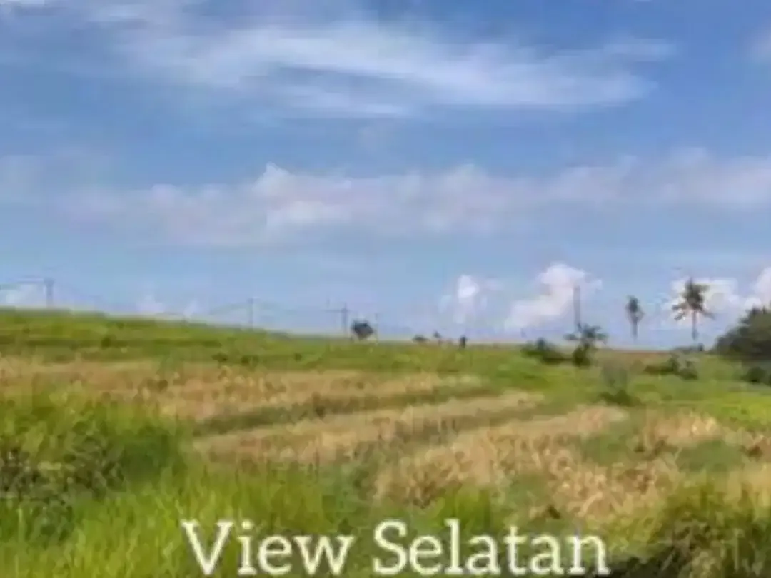 TANAH DI PANTAI BERABAN TABANAN - Image 5 of 8