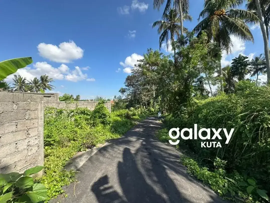 DIJUAL TANAH CEPAT DI BURUAN GIANYAR - Image 2 of 6