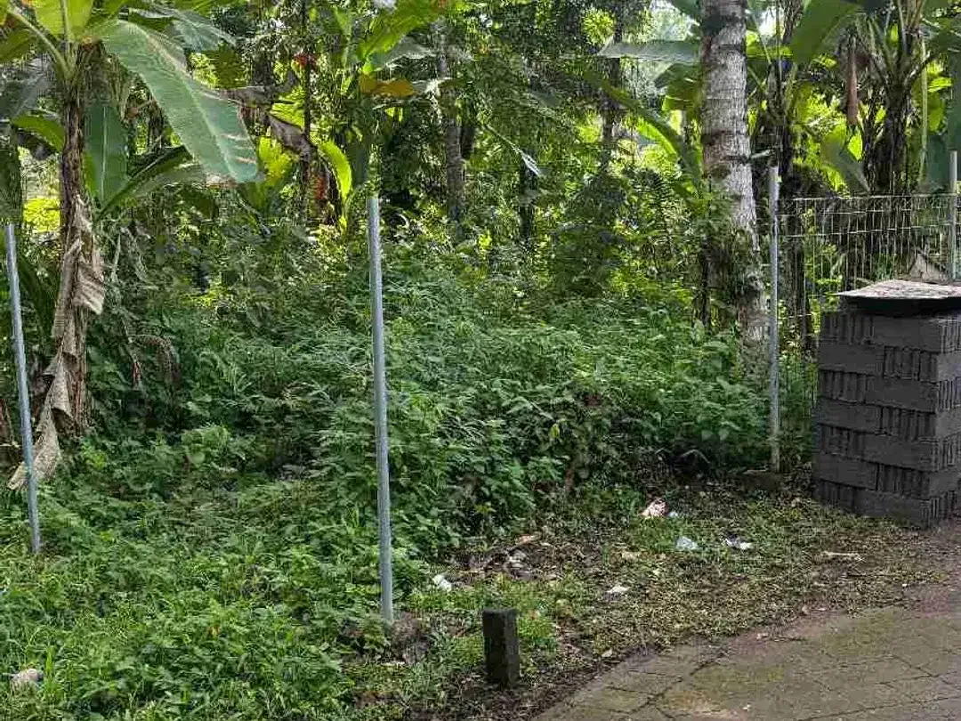 Tanah View Jungle & Sawah Dekat Ubud Lingkungan Tenang dan bagus - Image 3 of 10