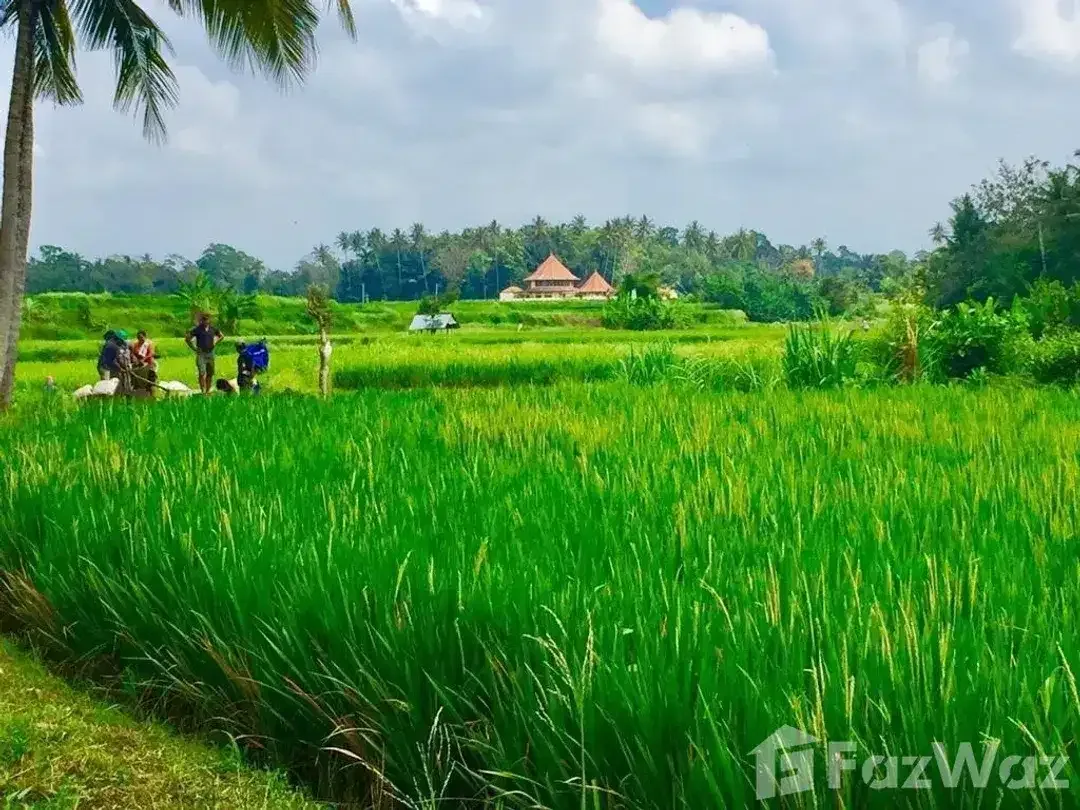 4 Bedroom Villa for sale in Ubud, Bali - Image 8 of 8