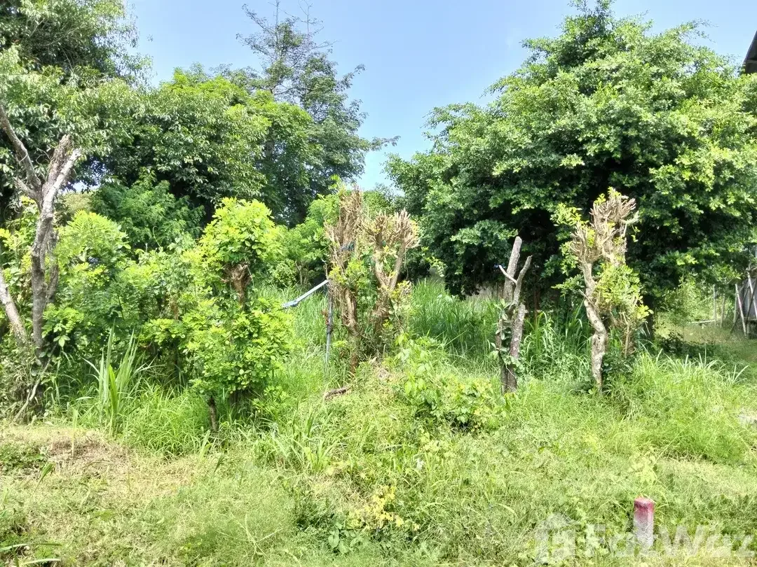 Land for sale in Uluwatu, Bali - Image 4 of 6