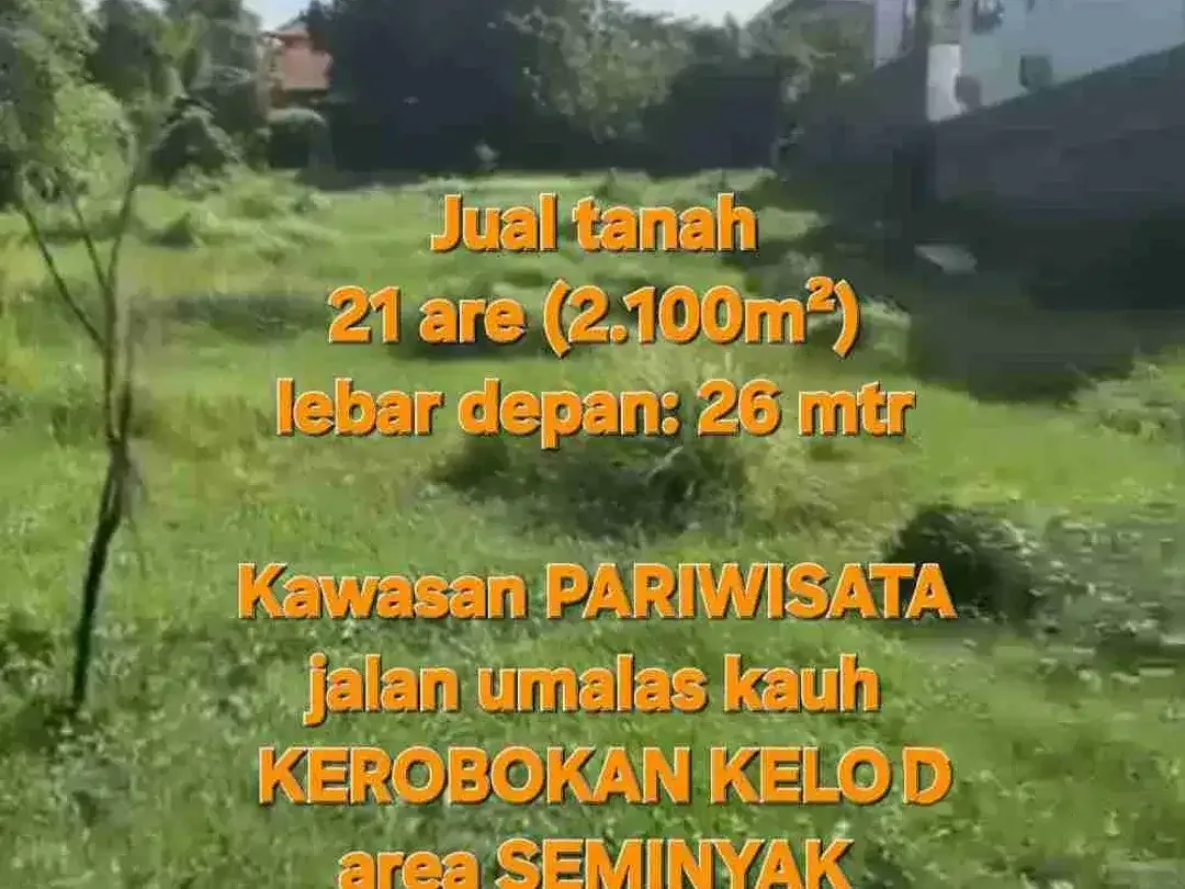 jual tanah umalas 21are area villa - Image 3 of 9