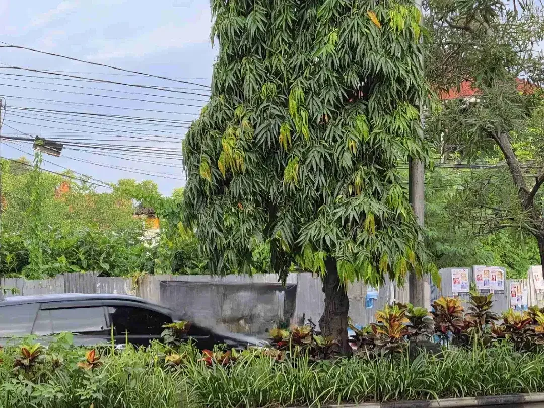 Tanah Komersil Strategis Raya Bypass Ngurah Rai Sanur Denpasar Bali - Image 7 of 7