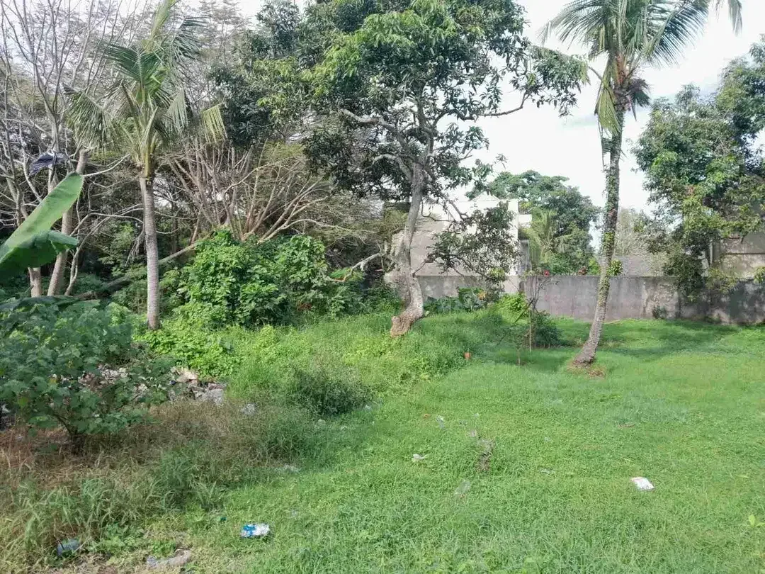 Tanah 195m2 di kaba- kaba Lingk Villa - Image 7 of 9