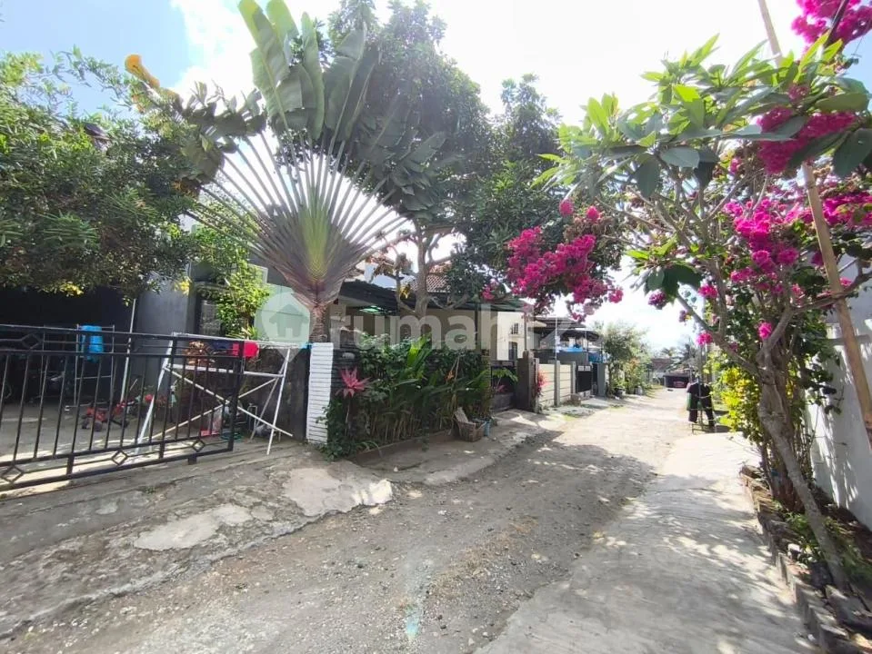 Rumah 1 Lantai One Gate System di Ungasan Dekat Pantai Melasti - Image 2 of 4