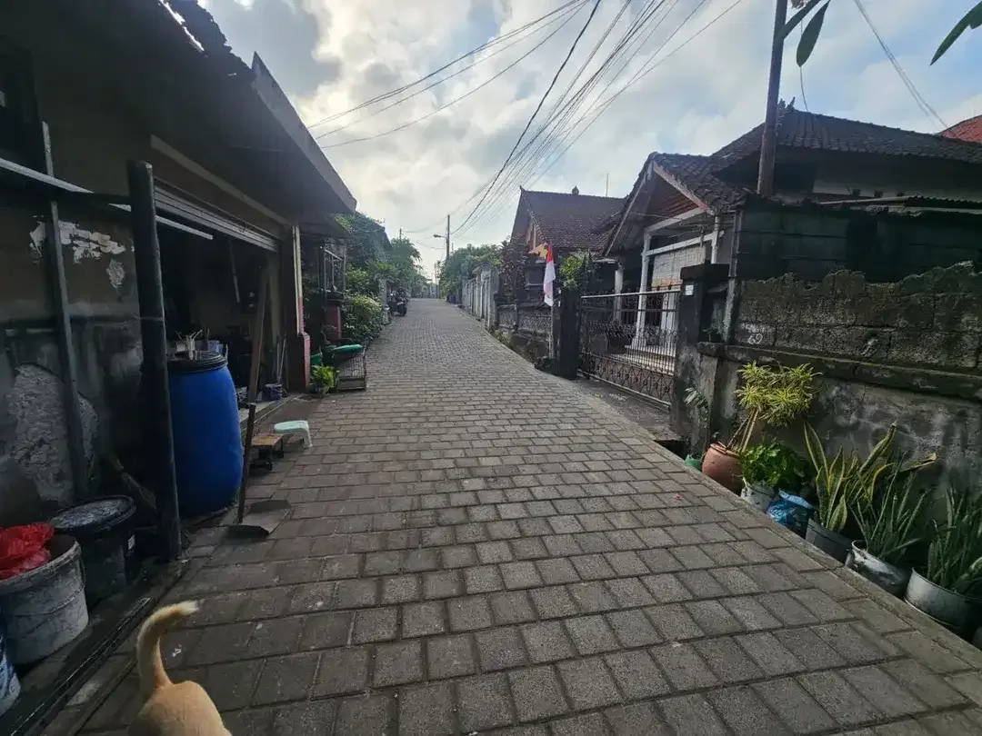 Dijual Tanah Siap Bangun di Ubung Denpasar, Dekat Terminal Ubung – Cocok untuk Rumah Tinggal atau Kos-Kosan - Image 4 of 5