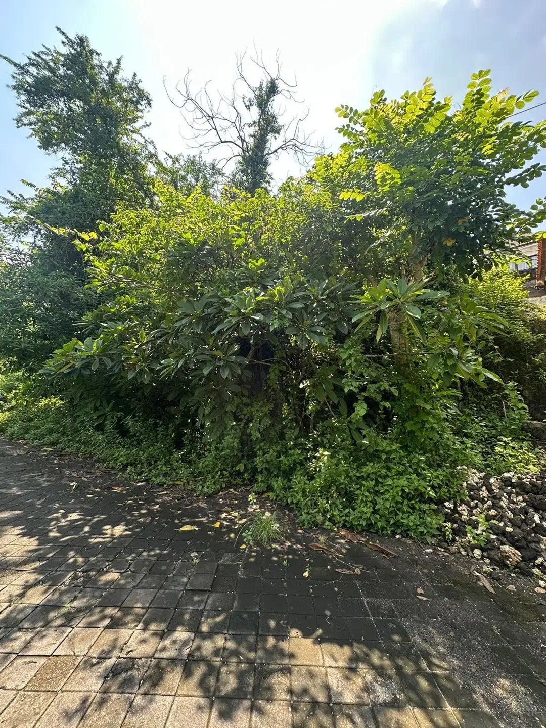 Di Jual Tanah Premium Kawasan Villa Di Jl. Taman Kebo Iwa, Benoa Kuta - Image 4 of 8