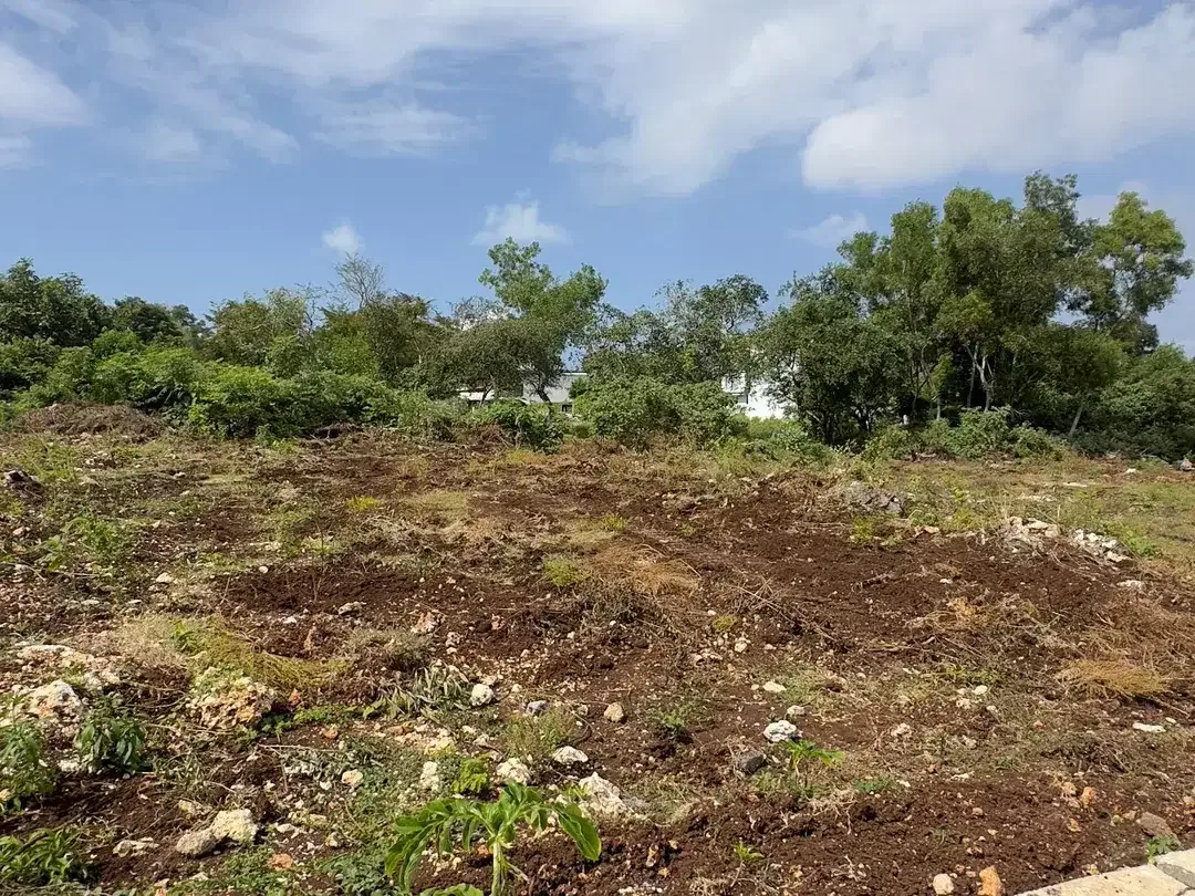 Dijual Tanah 250m2 Jungle View Zona Pariwisata Nusa Dua Bali - Image 10 of 10