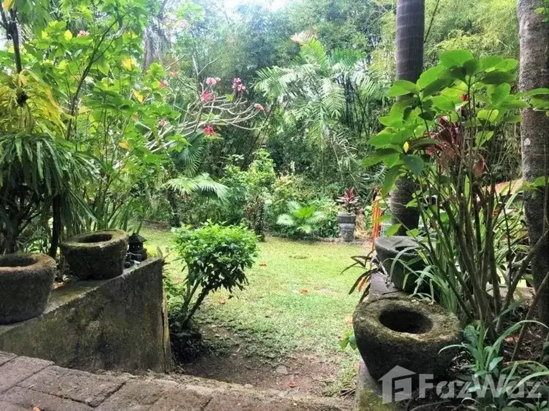 Land for sale in Pererenan, Bali - Image 3 of 10