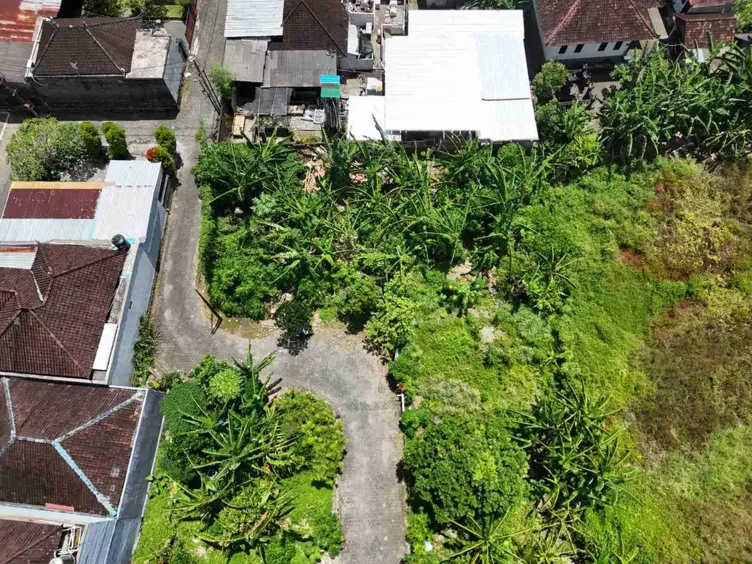 Tanah Datar strategis 15 Menit ke Canggu Bali - Image 6 of 10