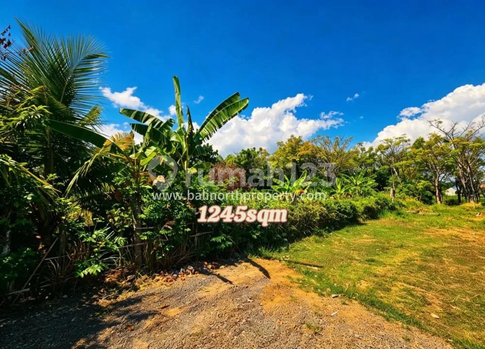 Exclusive Land For Sale Close By Beach In Lovina Area North Bali - Image 3 of 4