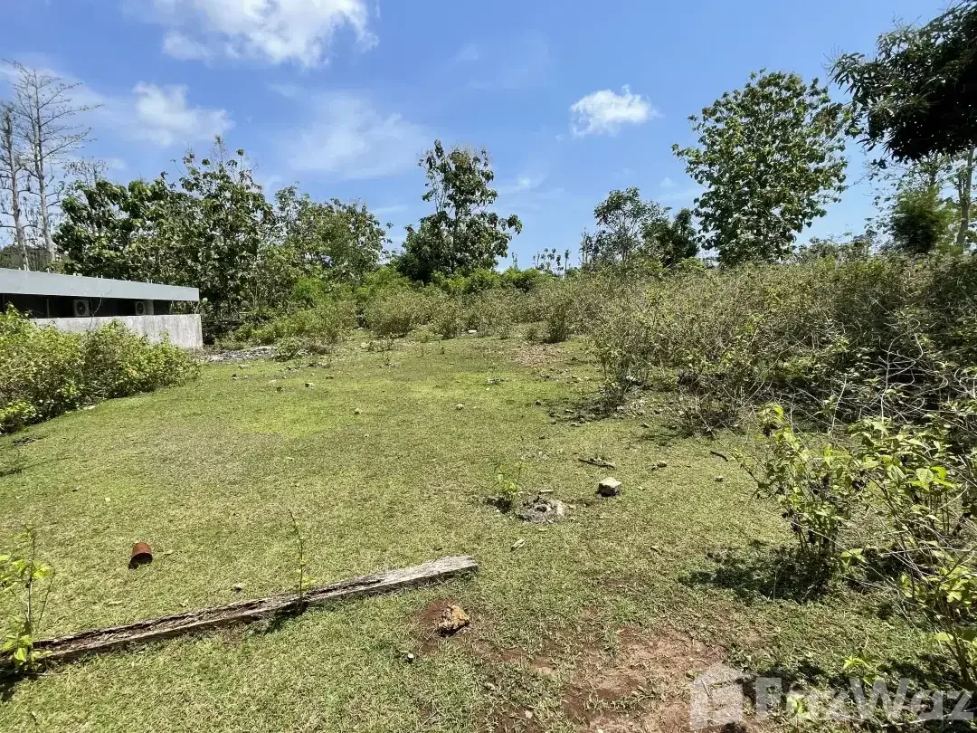 Land for sale in Balangan, Bali - Image 6 of 6