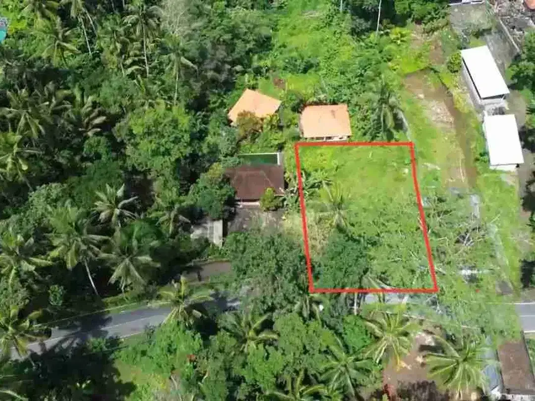 Tanah Komersil Murah di Jalan Utama Ubud Dekat Capella Resort - Image 5 of 7