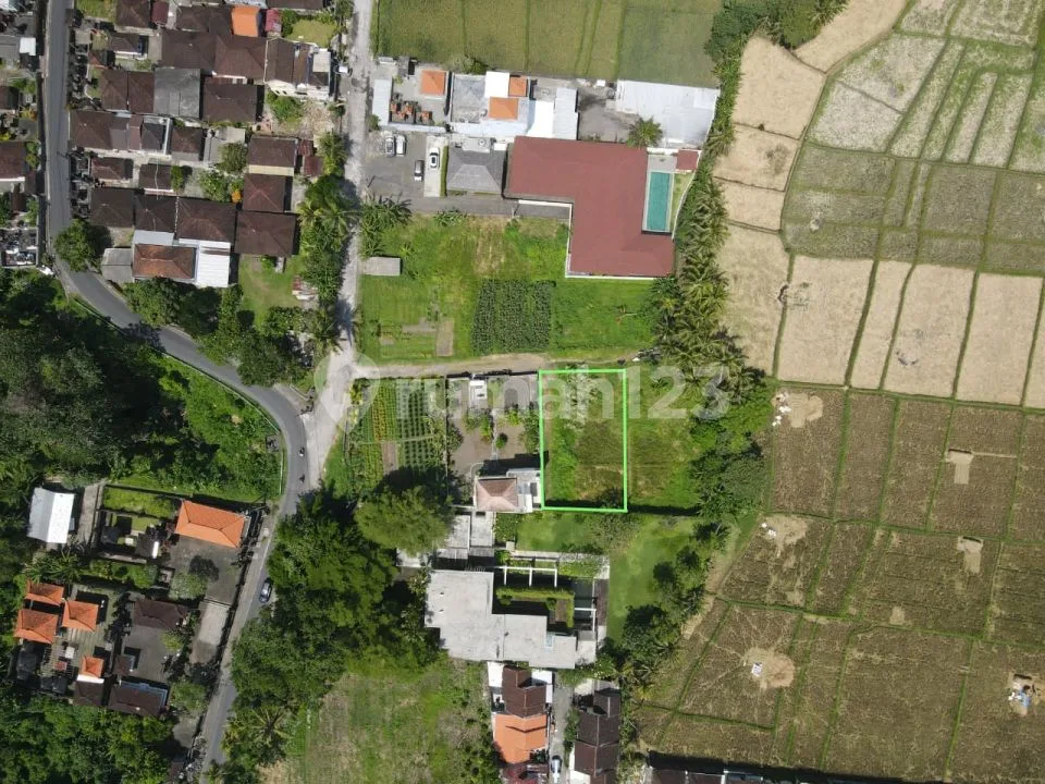 Small Freehold Land Plot For Sale In Nyanyi, North Side - Image 4 of 4