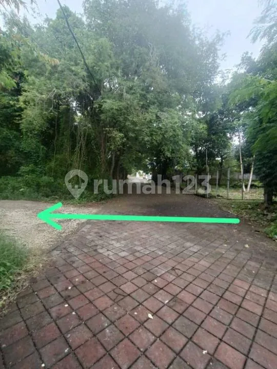 Dijual Tanah Lokasi Jimbaran Bawah Dekat Simpang Mcd dan Kfc Jimbaran - Image 3 of 4