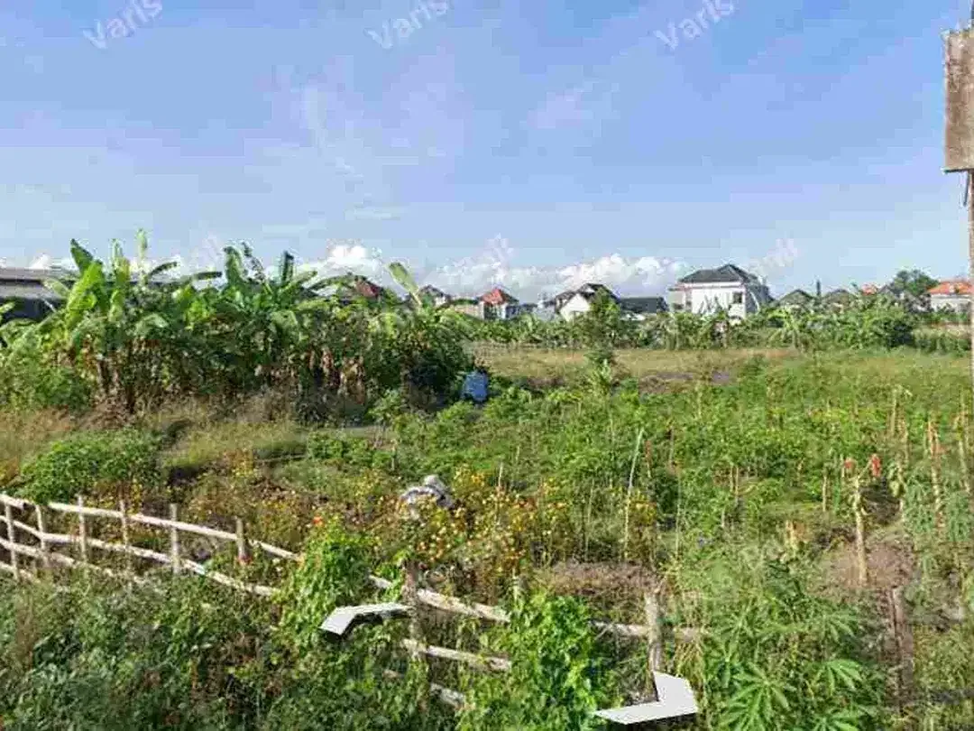 DIJUAL TANAH KECIL BUDUK - Image 4 of 4