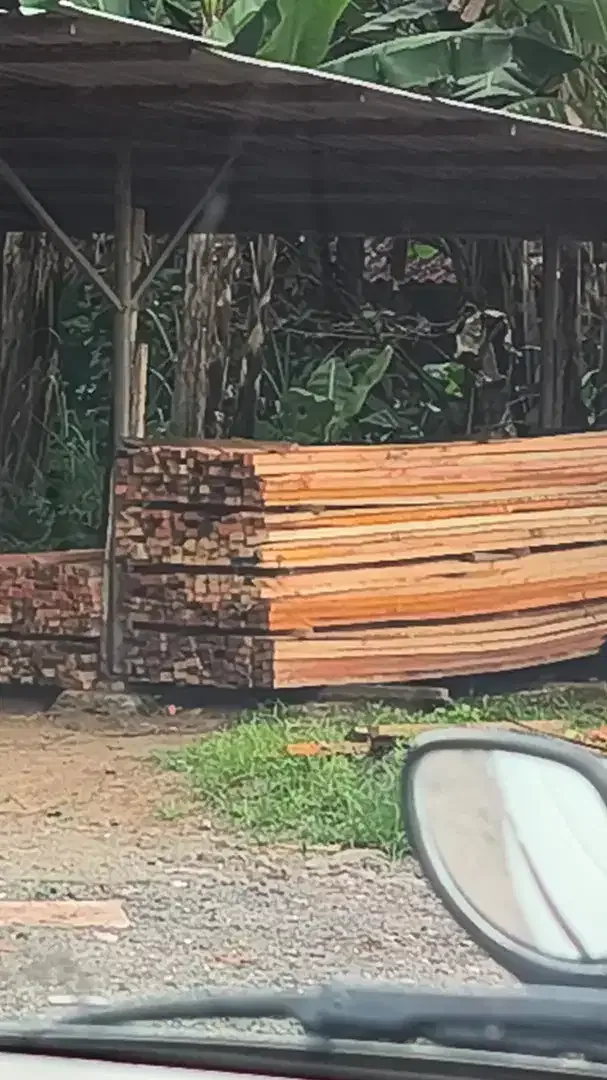 Dijual Kayu Lokal - Image 1 of 2